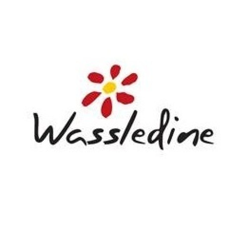 Wassledine Logo
